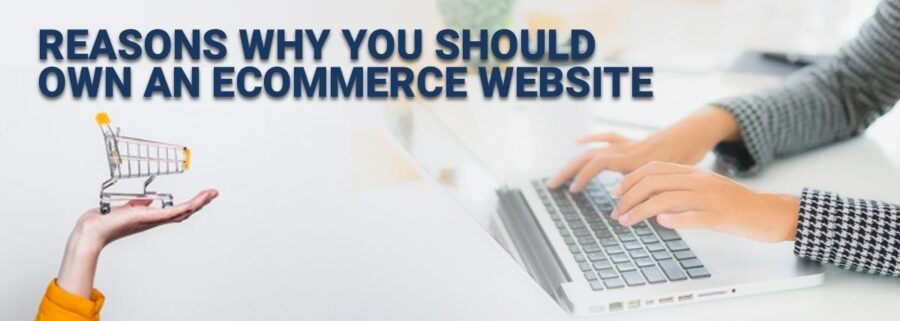Reasons Why You Should Own an eCommerce Website