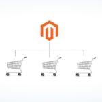 Magento website