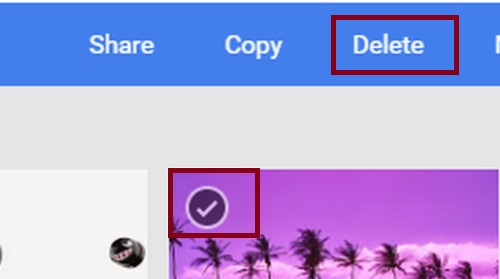 Manage Google Photos