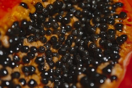 Purchase highly nutritious protein-rich Caviar online from Caspian Monarque