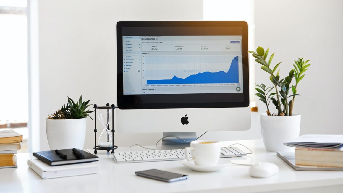 Effective ways business analytics can boost your business