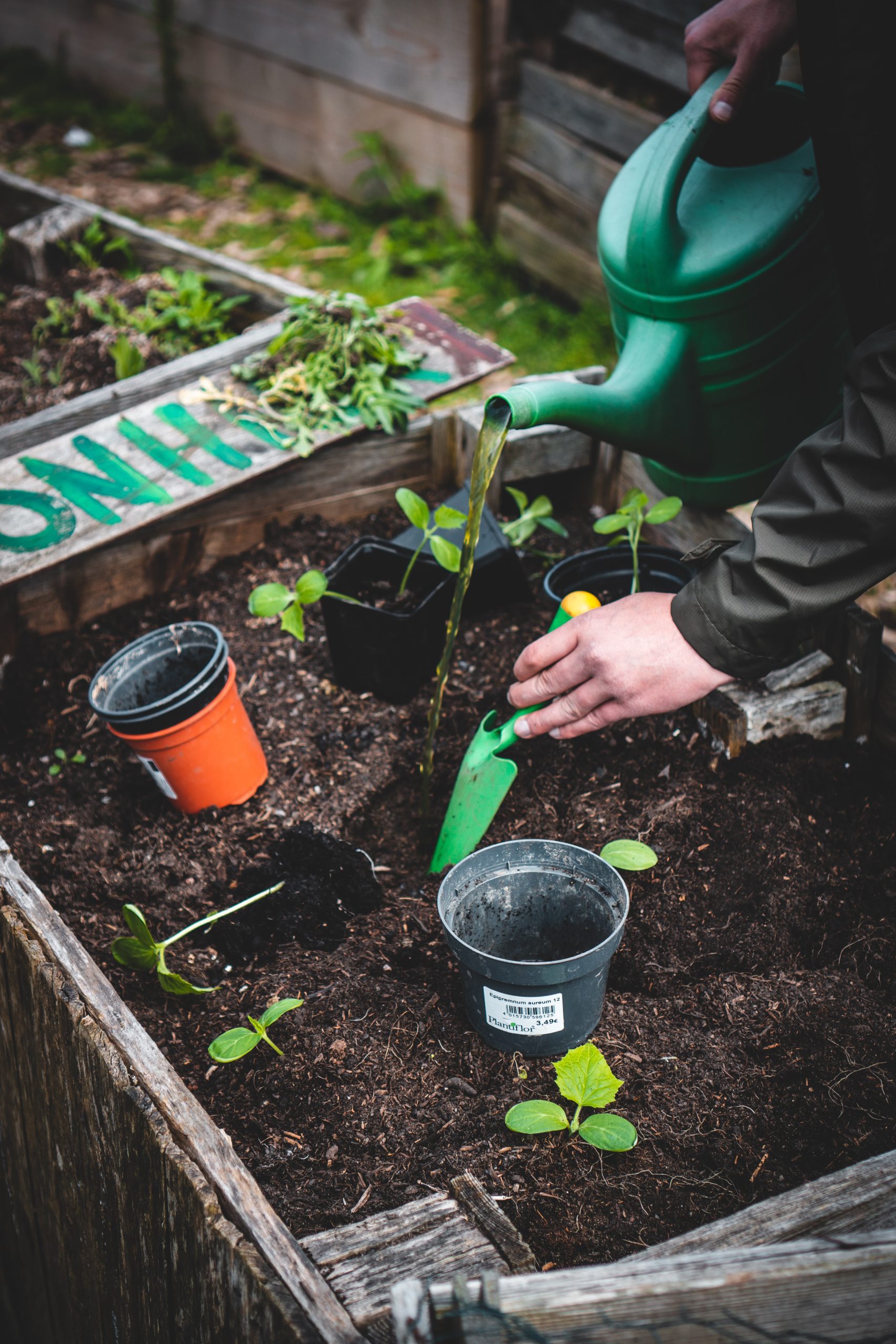 Garden Planting