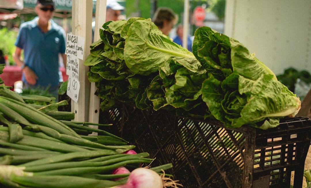 Yalla Choy: The Superfood You Need to Know About